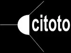 Citoto